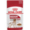 Royal Canin Medium Adult Wet Dog Food