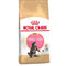 Royal Canin Maine Coon Kitten Dry Food