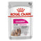 Royal Canin Exigent for All Sizes Wet Dog Food