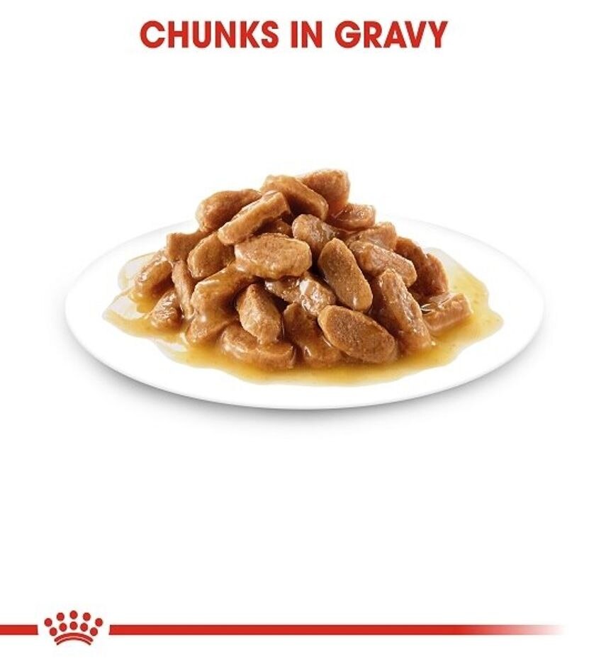 Royal Canin Maxi Puppy Wet Food