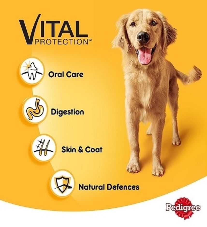 Pedigree Beef Loaf Wet Dog Food