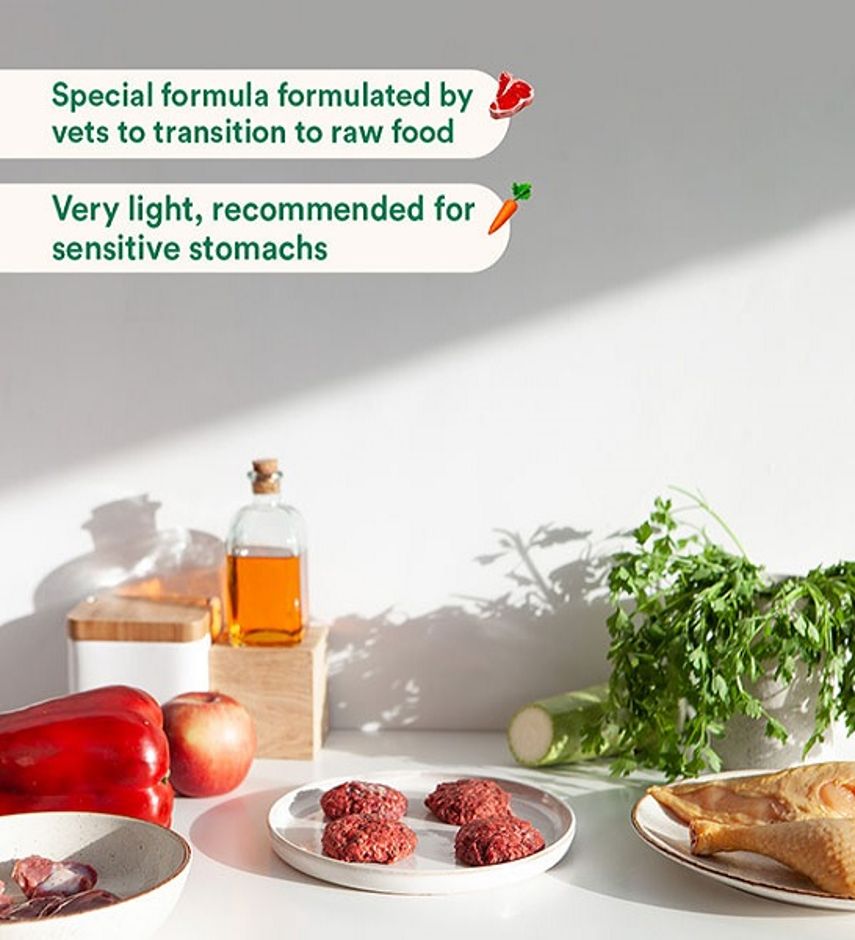 Wild Balance Complete BARF Beginners Menu Chicken for Dogs