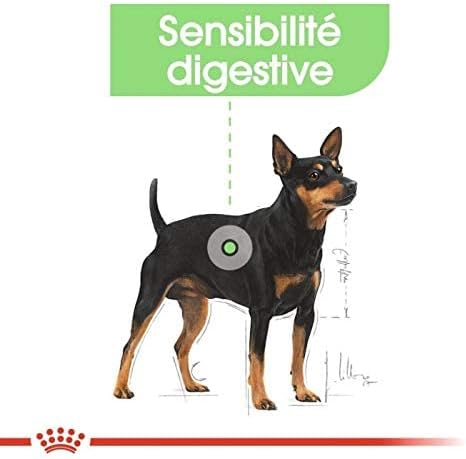 Royal Canin Digestive Care Wet Food for Dogs