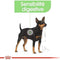Royal Canin Digestive Care Wet Food for Dogs