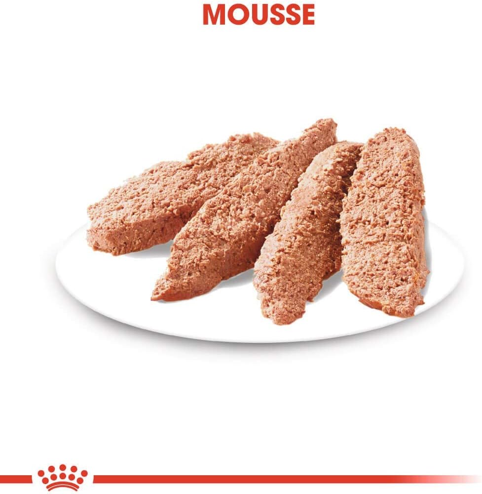 Royal Canin Digestive Care Wet Food for Dogs