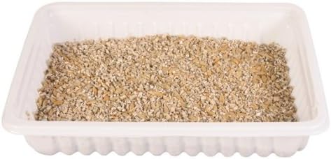 Trixie Cat Grass in Tray for Cats
