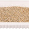 Trixie Cat Grass in Tray for Cats