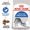 Royal Canin Home Life Indoor 27 Dry + Indoor Sterilized in Gravy Wet Cat Food Bundle