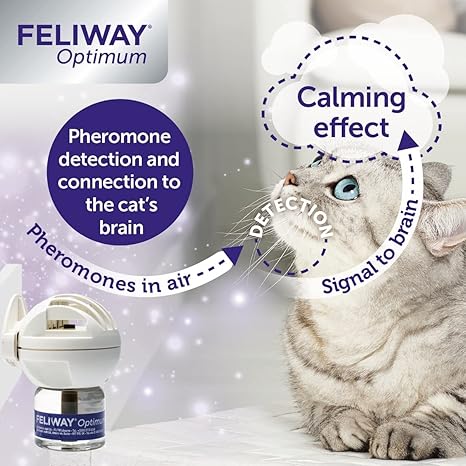 Feliway Optimum Refill for Cats