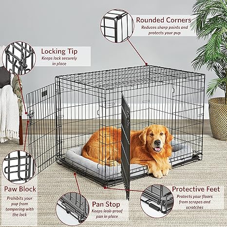 Midwest Double Door Life Stages Crate for Dogs
