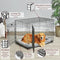 Midwest Double Door Life Stages Crate for Dogs