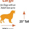 Midwest Double Door Life Stages Crate for Dogs