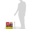 Orijen Senior Dog Dry Food