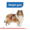 Royal Canin Mini Light Adult Dry Dog Food