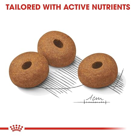 Royal Canin Mini Light Adult Dry Dog Food