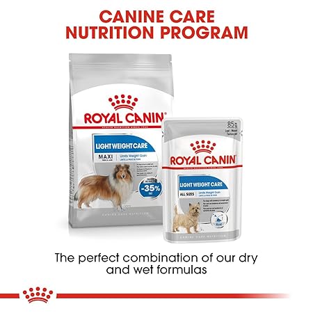 Royal Canin Mini Light Adult Dry Dog Food