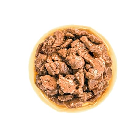 Royal Canin Mini Adult Wet Dog Food