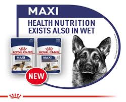 Royal Canin Maxi Ageing 8+ Adult Dry Dog Food