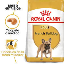 Royal Canin French Bulldog Adult Dry Dog Food