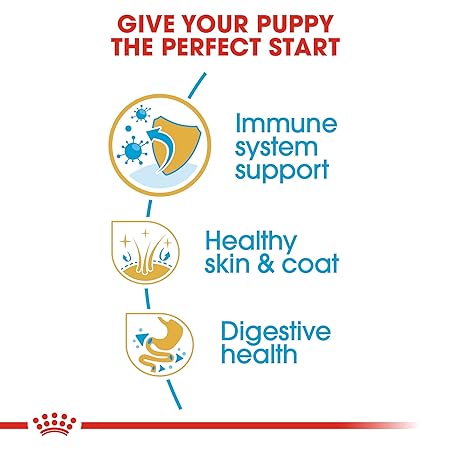 Royal Canin Golden Retriever Puppy Dry Food