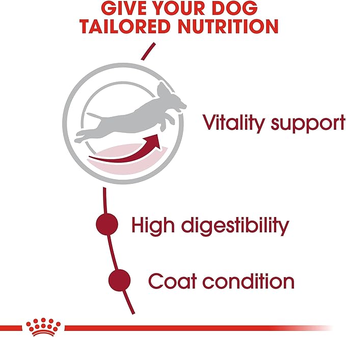 Royal Canin Medium Adult 7+ Dry Dog Food