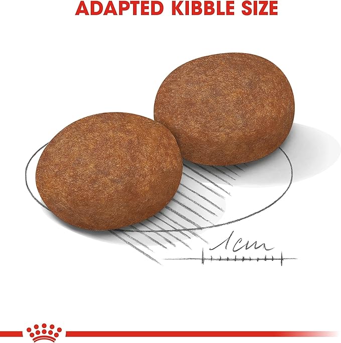 Royal Canin Medium Adult 7+ Dry Dog Food