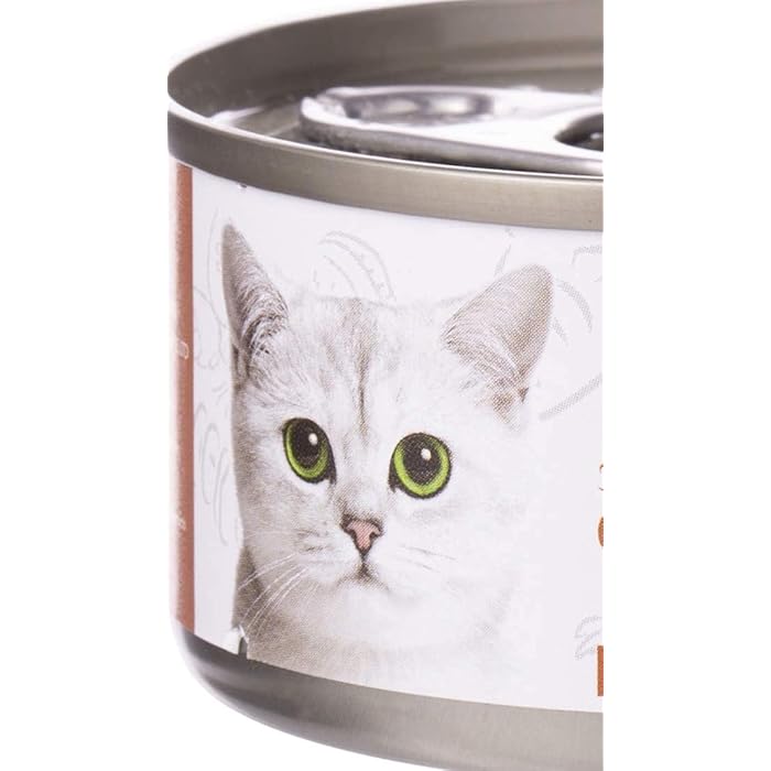 Kit Cat Grain Free Chicken & Beef Topper Wet Cat Food