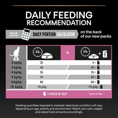 PURINA Pro Plan Delicate Optidigest Turkey Adult Dry Cat Food