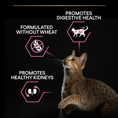 PURINA Pro Plan Delicate Optidigest Turkey Adult Dry Cat Food