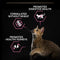 PURINA Pro Plan Delicate Optidigest Turkey Adult Dry Cat Food