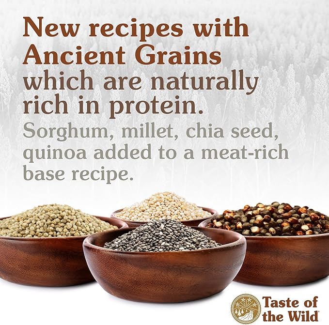 Taste of The Wild Ancient Prairie Bison & Venison Dry Dog Food
