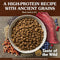 Taste of The Wild Ancient Prairie Bison & Venison Dry Dog Food