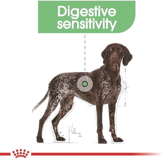 Royal Canin Maxi Digestive Care Adult Dry Food