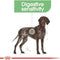 Royal Canin Maxi Digestive Care Adult Dry Food