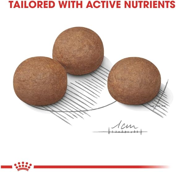 Royal Canin Maxi Digestive Care Adult Dry Food