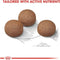 Royal Canin Maxi Digestive Care Adult Dry Food