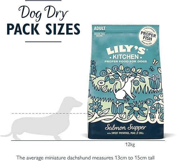Lily's Kitchen Salmon Supper Adult Dog Dry Food