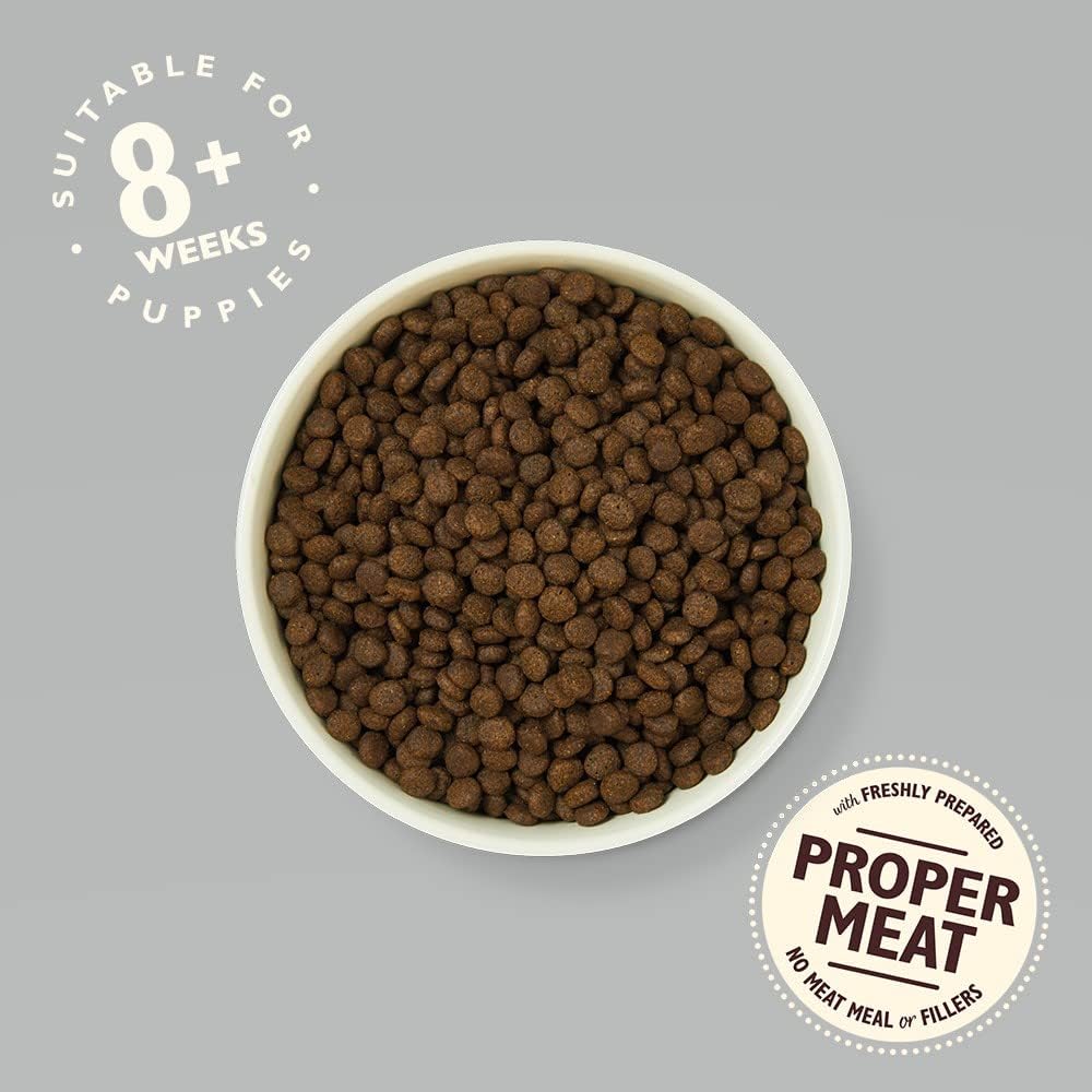 Lily's Kitchen Puppy Recipe with Chicken, Salmon & Peas Dry Food