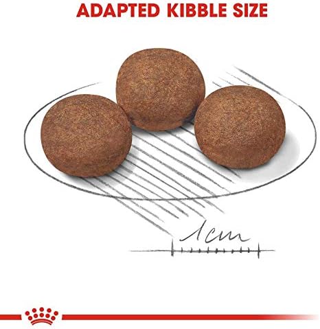 Royal Canin Medium Puppy Dry Food