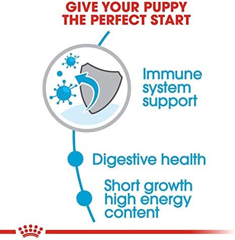 Royal Canin Medium Puppy Dry Food