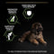 PURINA Pro Plan Optistart Chicken Large Robust Puppy Dry Food