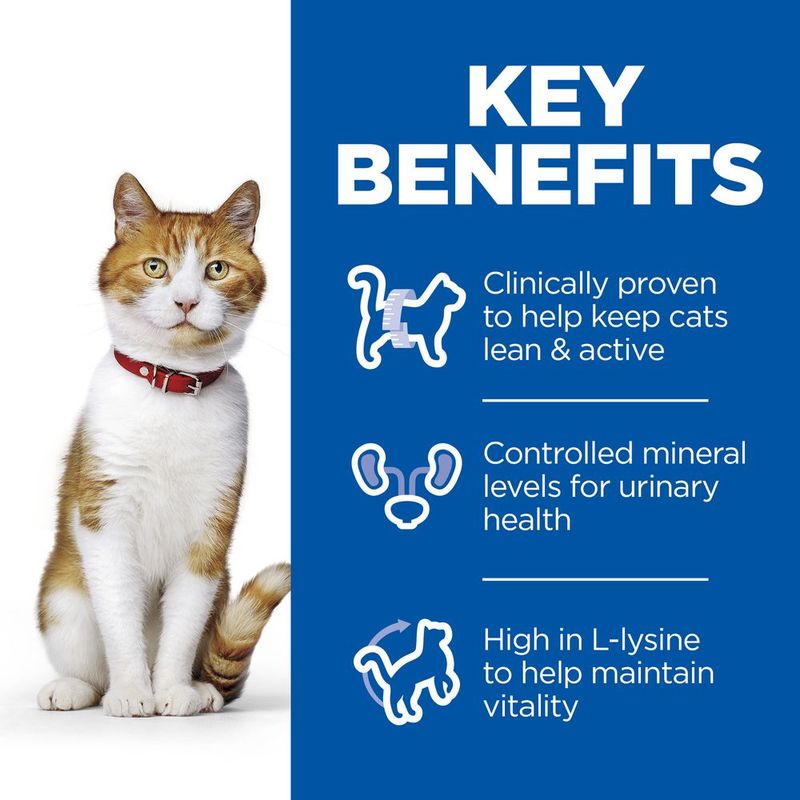 Hill's Science Plan Sterilised Young Adult Cat Food with Chicken