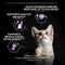 PURINA Pro Plan Original Optistart Dry Kitten Food