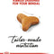 Royal Canin Bengal Adult Dry Cat Food