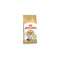 Royal Canin Ragdoll Adult Dry Cat Food