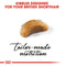 Royal Canin British Shorthair Kitten Dry Food