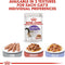 Royal Canin Sterilised in Gravy Wet Cat Food