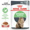 Royal Canin Digest Sensitive Adult Wet Cat Food