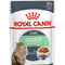 Royal Canin Digest Sensitive Adult Wet Cat Food