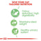 Royal Canin Digest Sensitive Adult Wet Cat Food